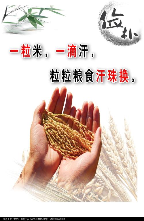 愛知学泉大学学士学位证